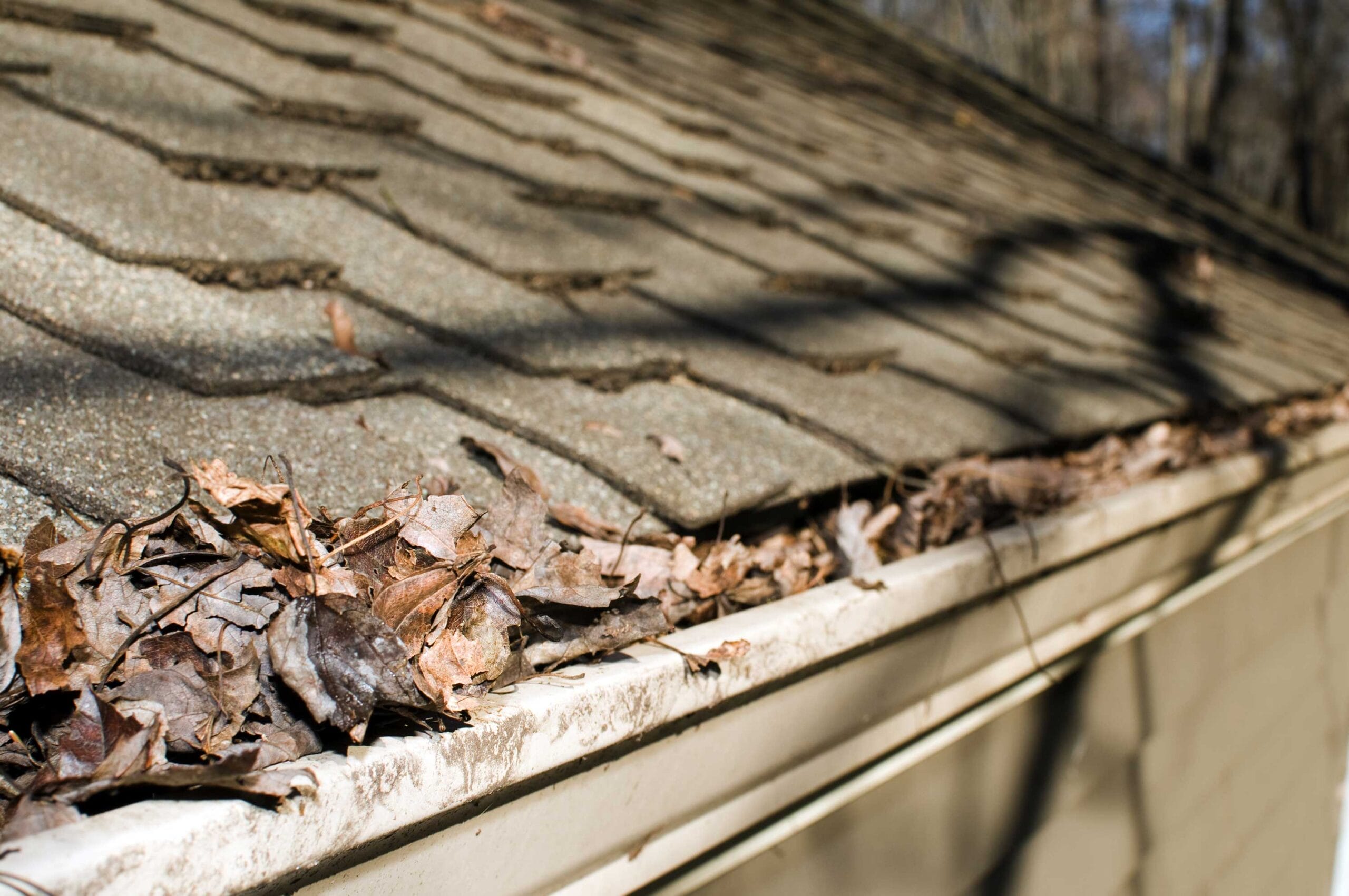 spring roof problems, spring roof maintenance, spring roof care